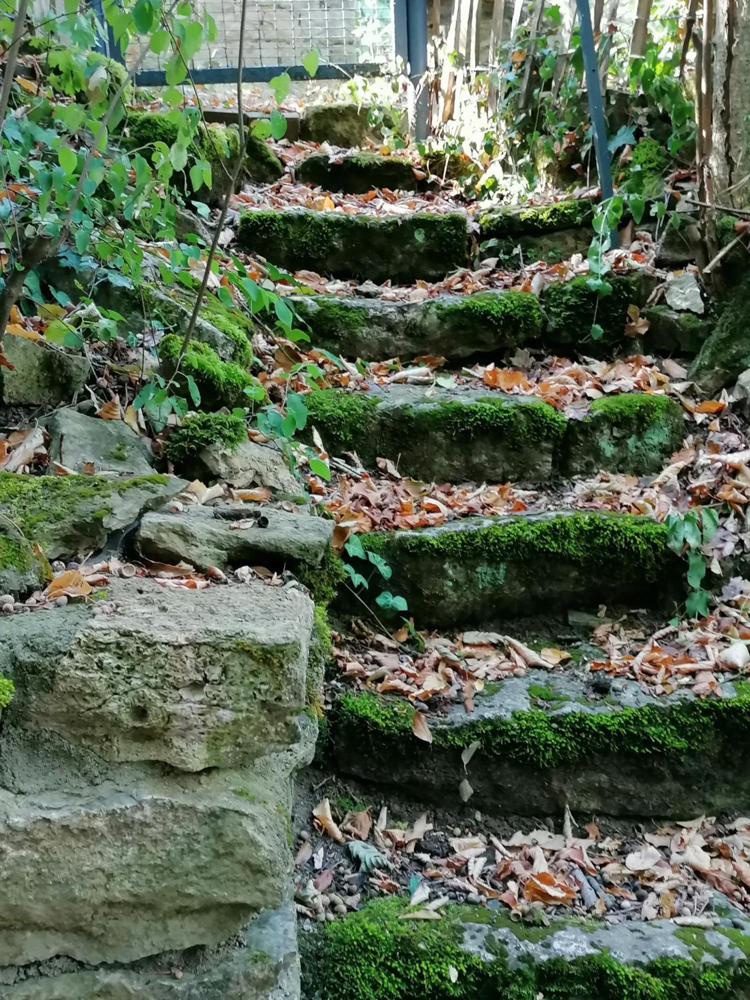 Kirschberghof Gaestehaus Und Weinverkauf ゾンマーハウゼン エクステリア 写真