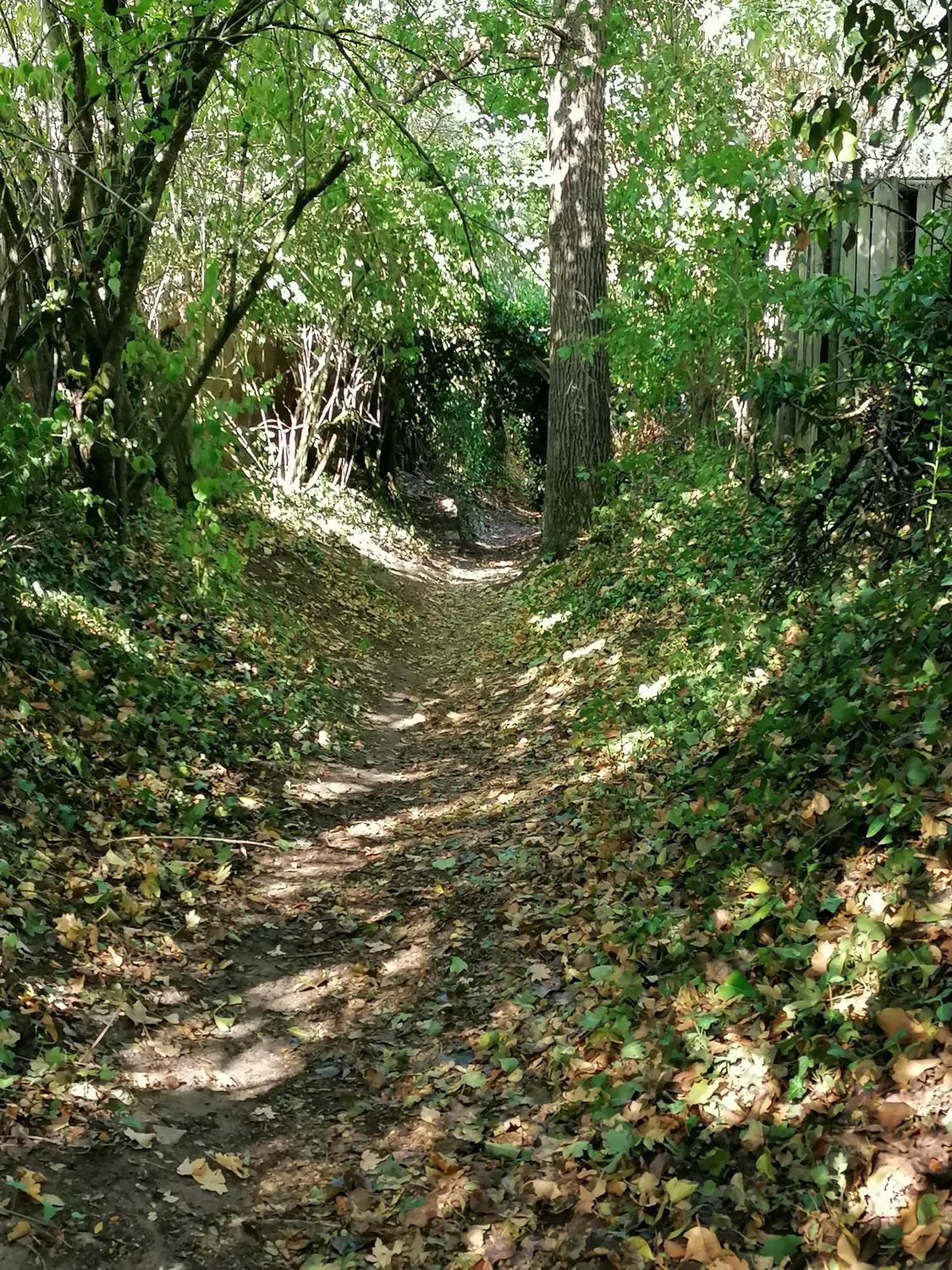 Kirschberghof Gaestehaus Und Weinverkauf ゾンマーハウゼン エクステリア 写真