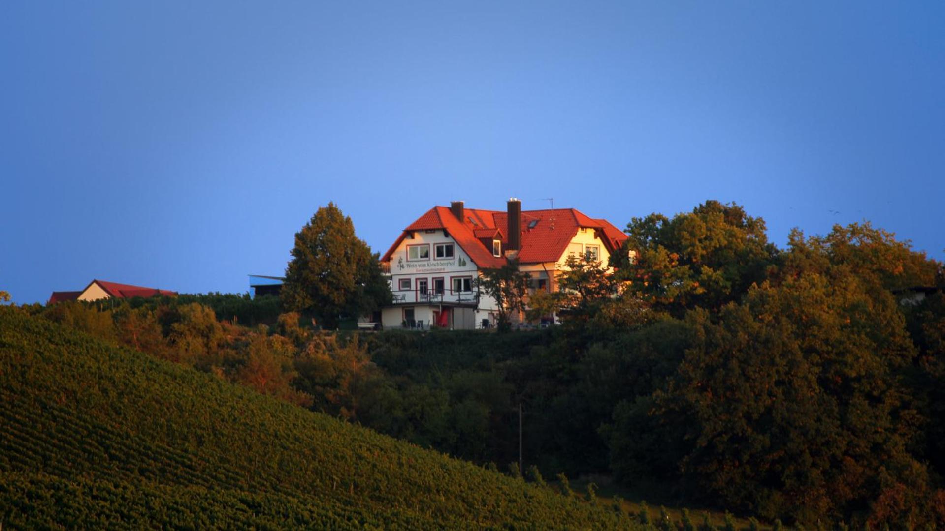 Kirschberghof Gaestehaus Und Weinverkauf ゾンマーハウゼン エクステリア 写真